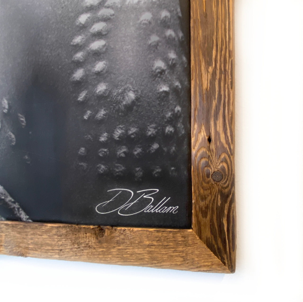 frame and signature detail