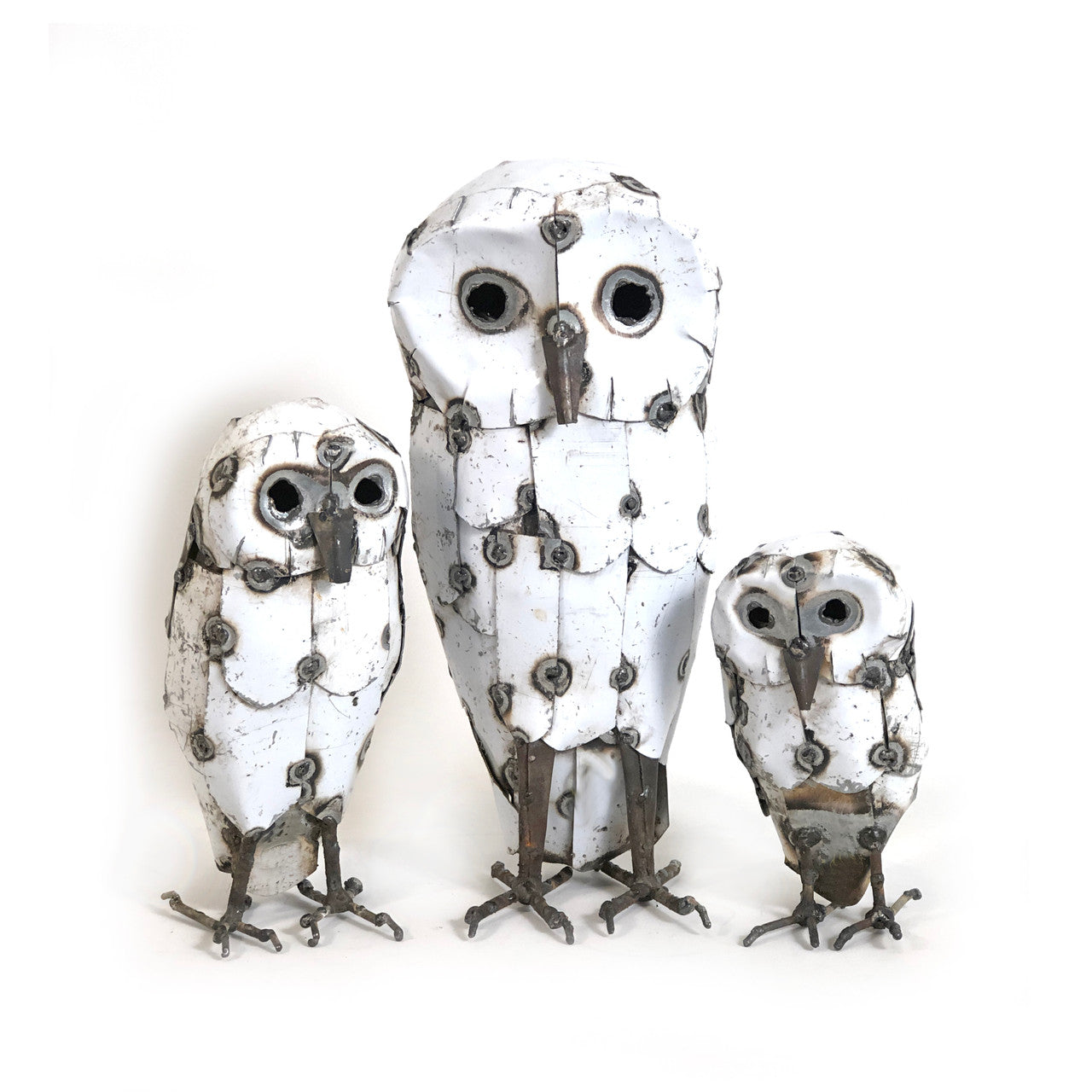 snowy owl family
