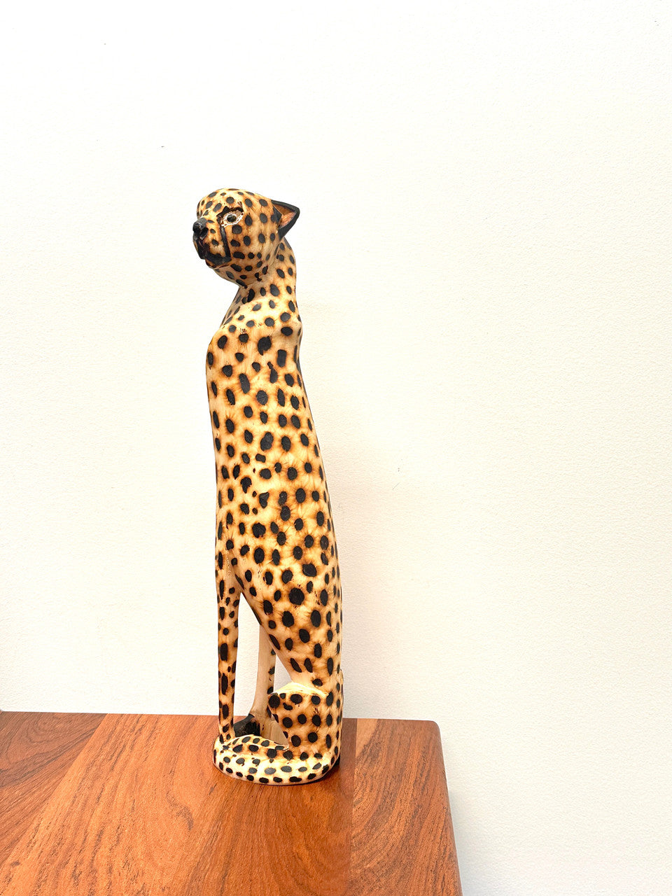 Cheetah Sitting