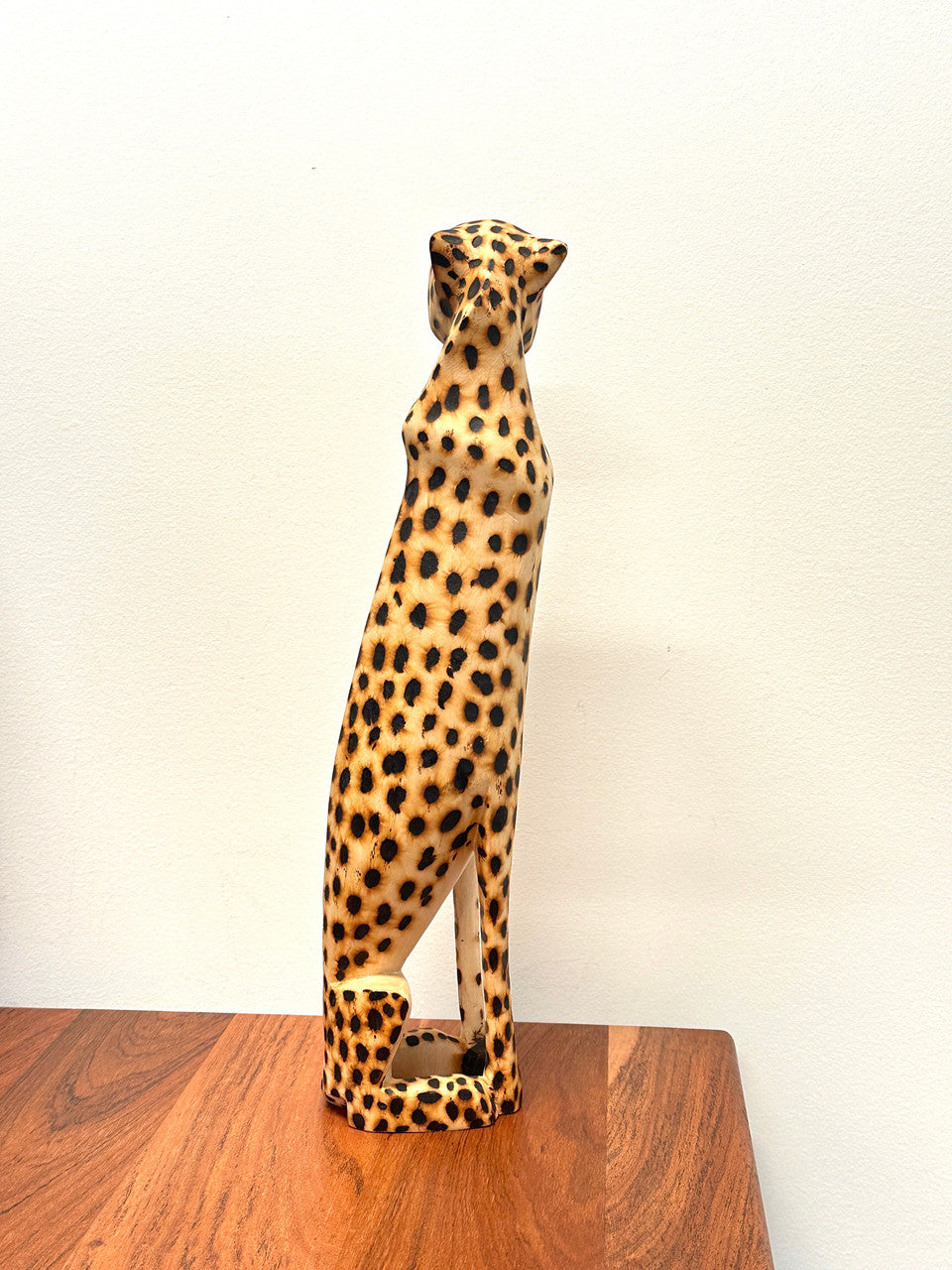 Cheetah Sitting