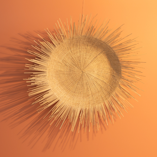 natural sun plate made from palm leaves