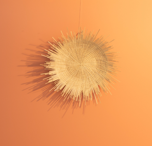 natural sun plate made from palm leaves