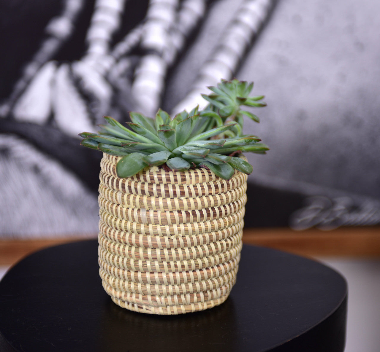 succulent mini basket in natural