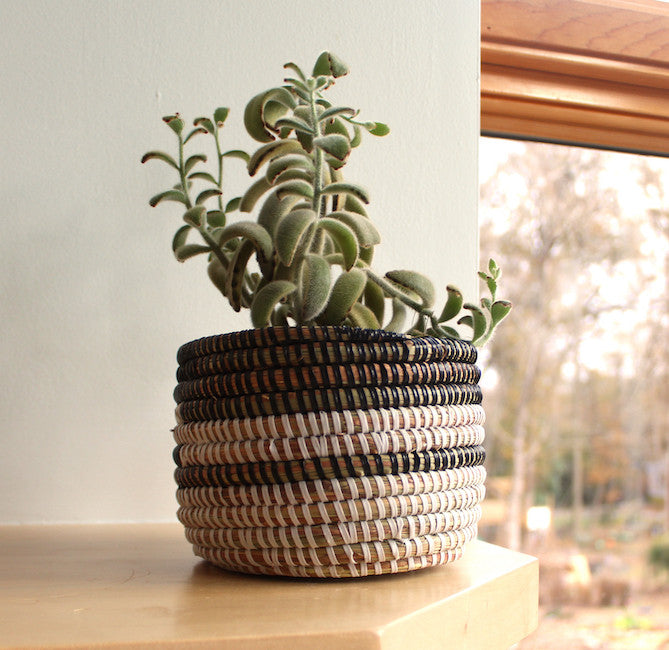 adorable as a planter