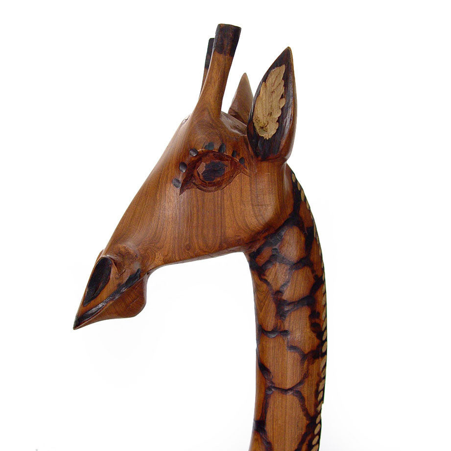 Olivewood Giraffe Face Close Up