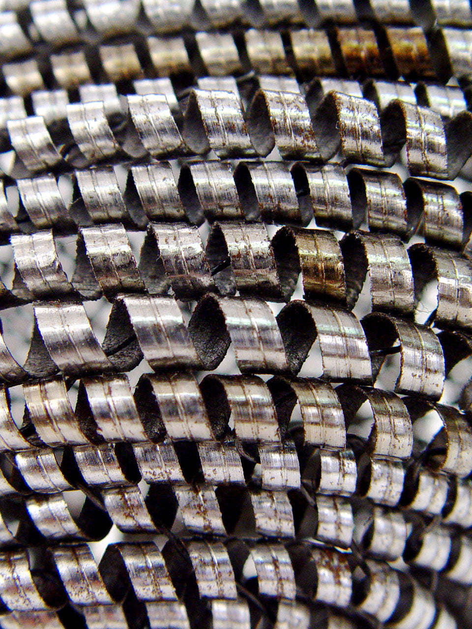 Metal Shaving Hippo - Close Up