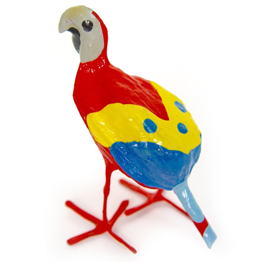 seed pod macaw back view