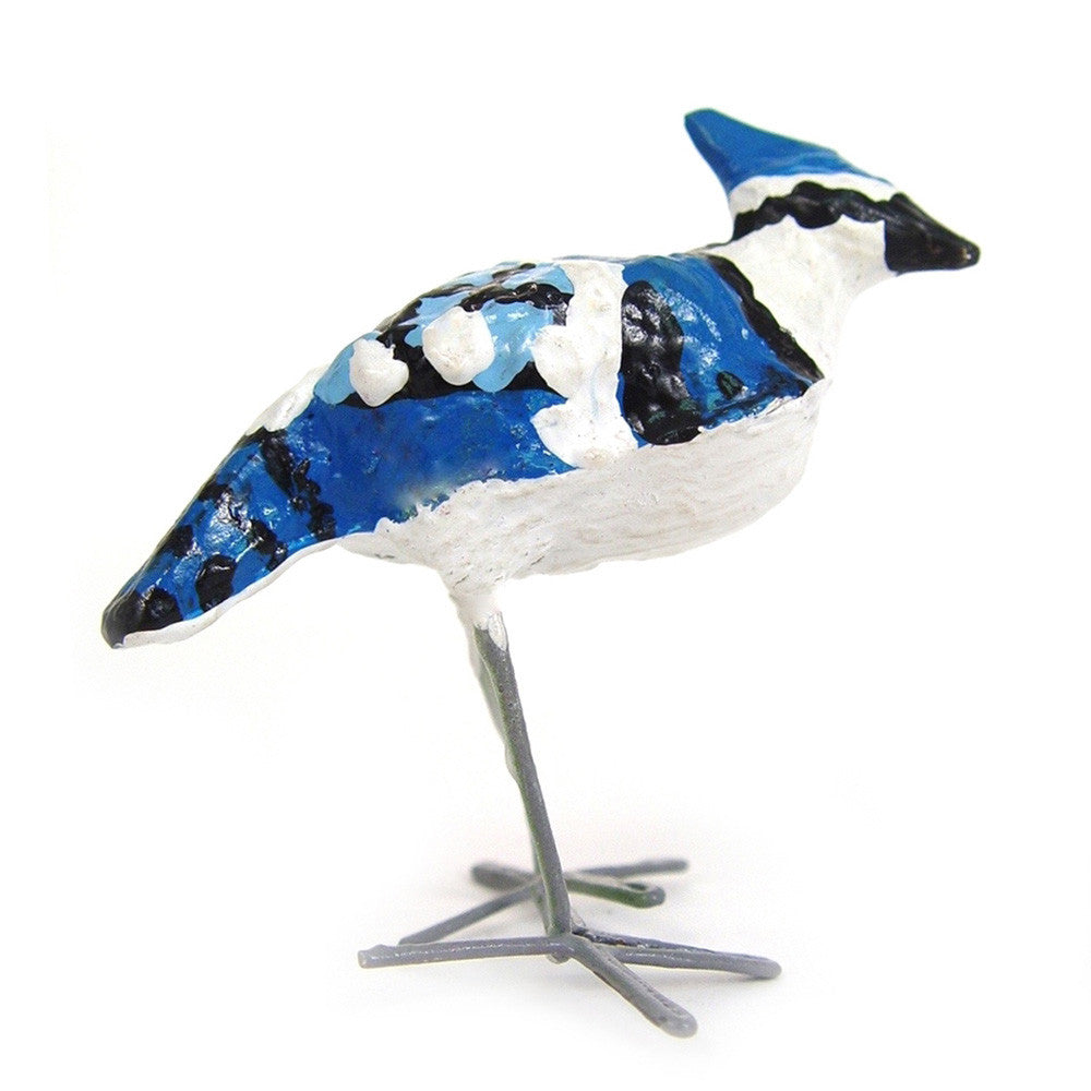 Seedpod Blue Jay profile