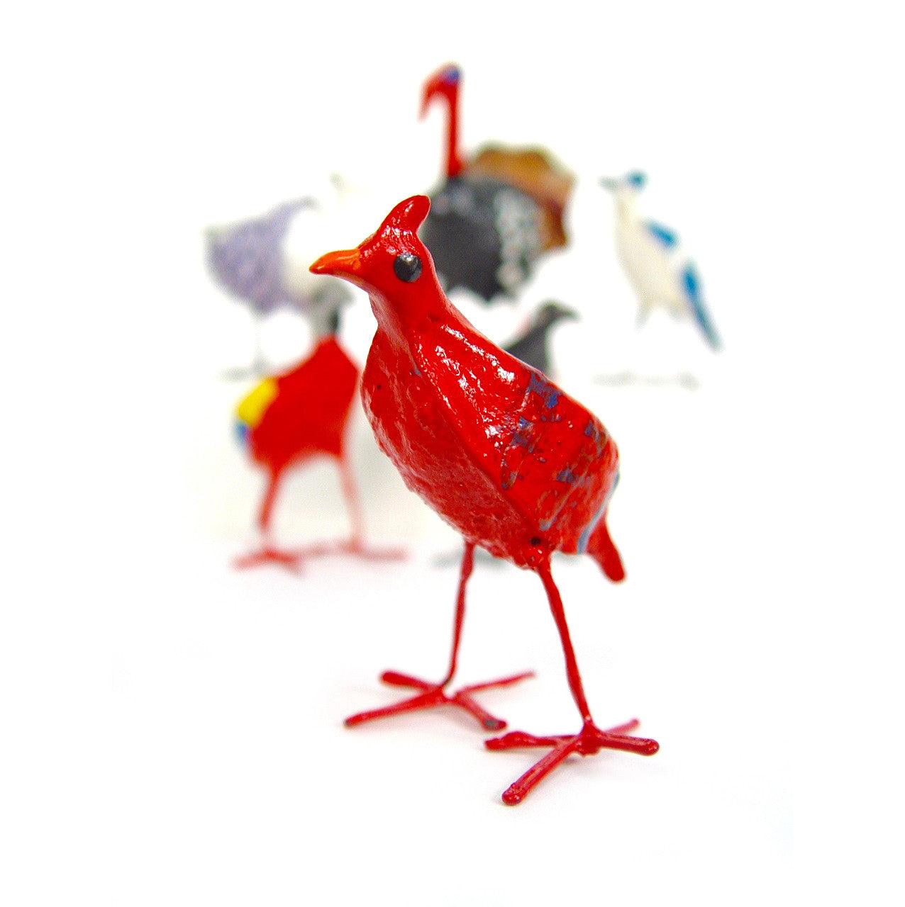 Seedpod Cardinal Group