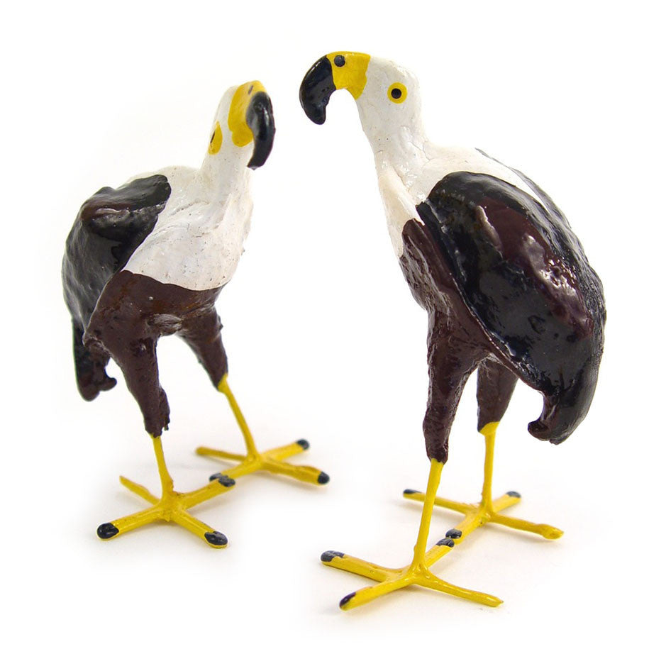 African fish eagle seedpod pair - mates for life.