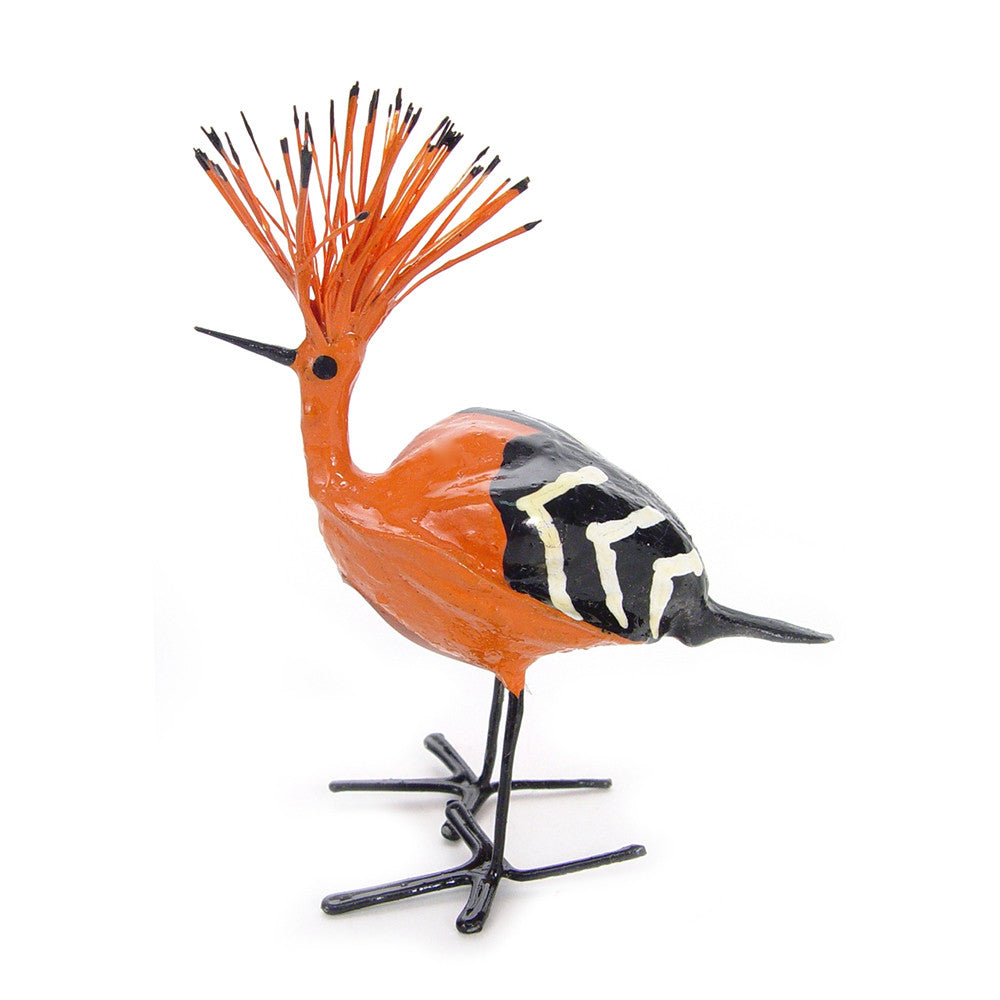 hoopoe seedpod bird