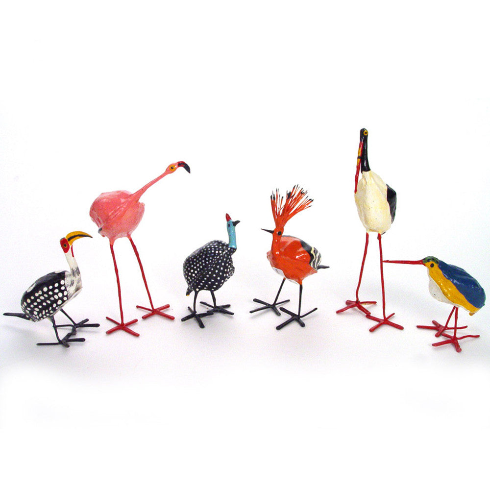 seedpod birds group