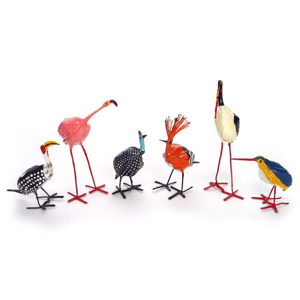 seed pod bird group