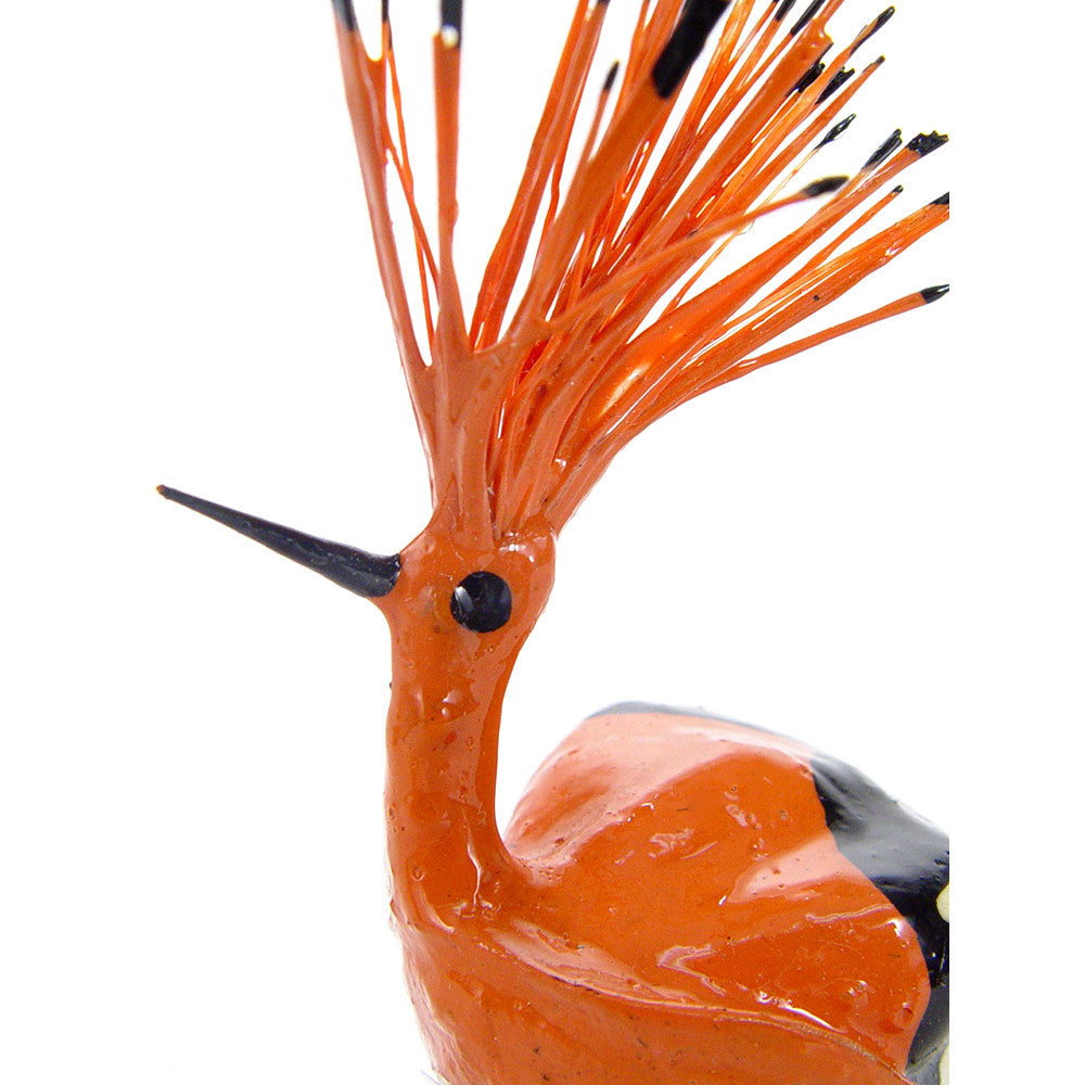 hoopoe seedpod bird detail of head