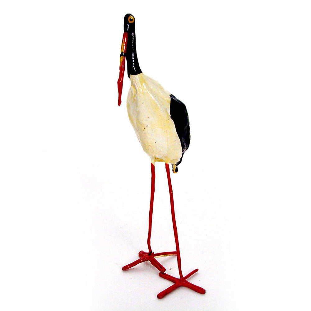 seed pod stork front view