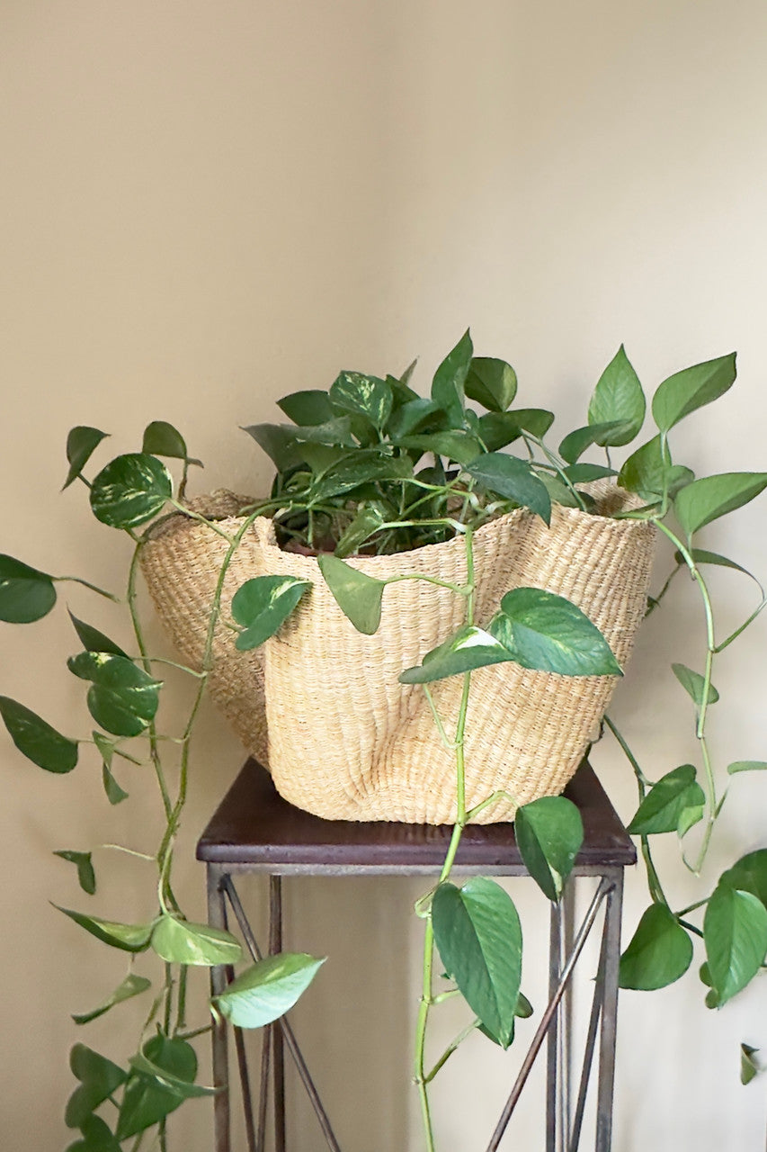 African Basketry
