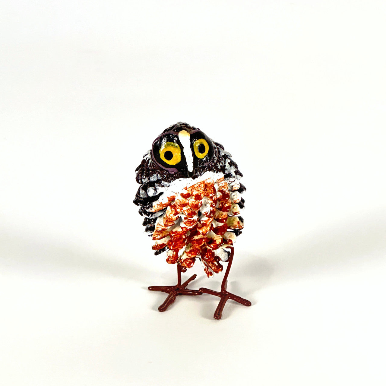 Northern Saw Whet Pinecone Owl