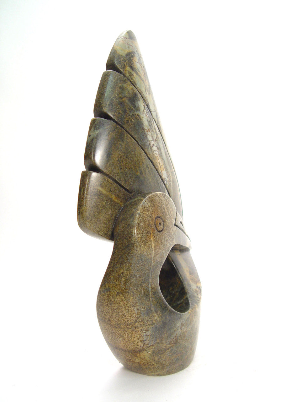 side view of bird with wings up