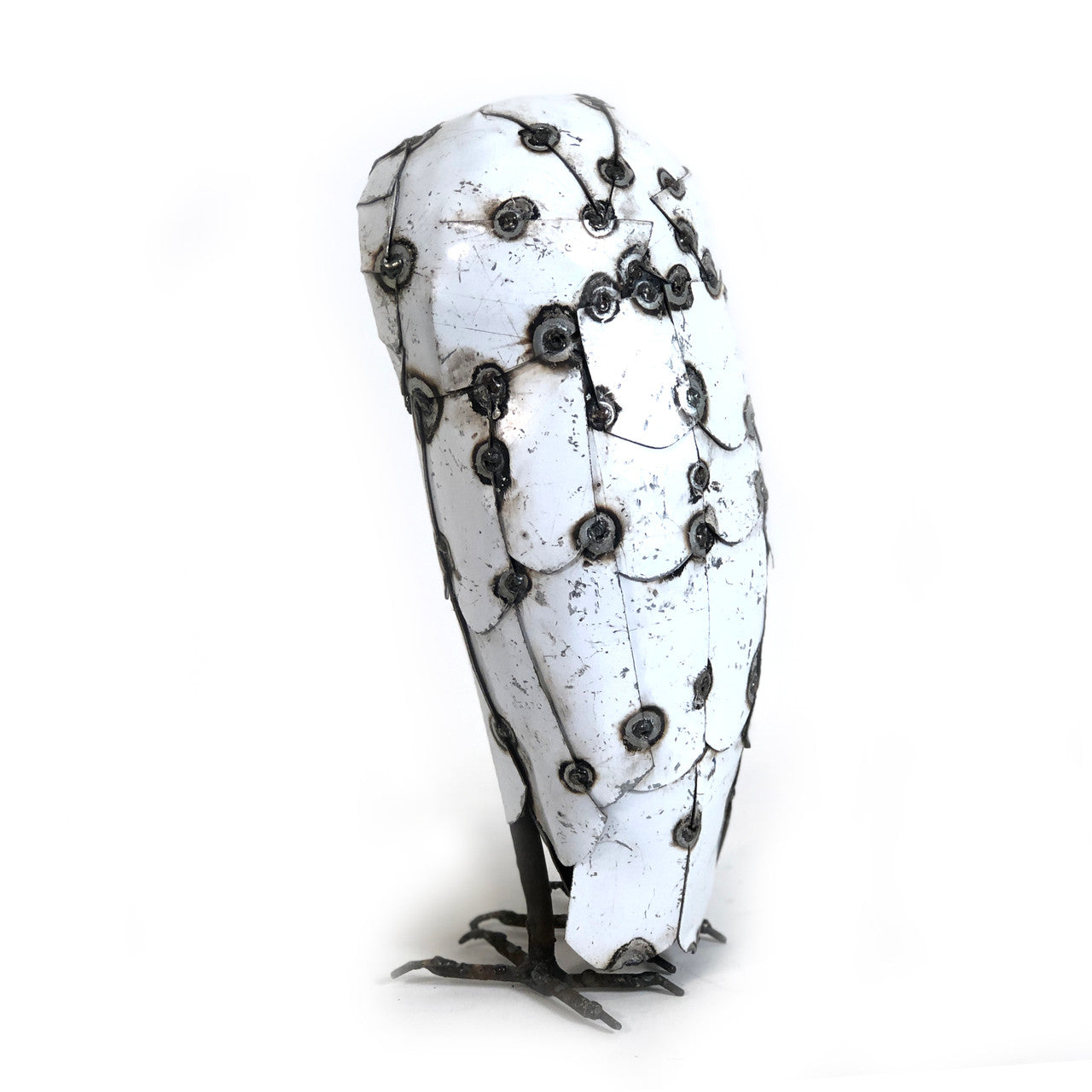snowy owl large back view