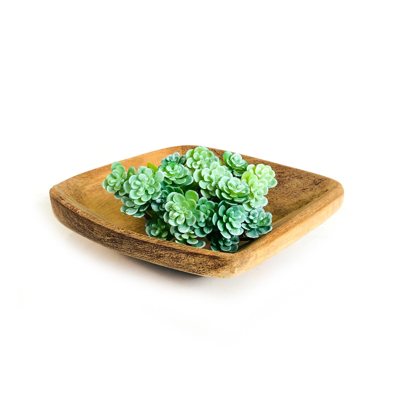 Square teak serving platter with succulent