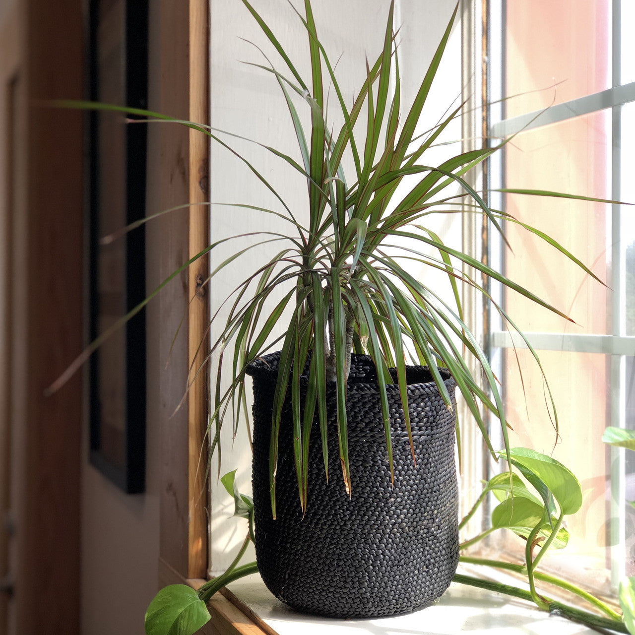 Iringa basket from Tanzania, black color, lifestyle photo 