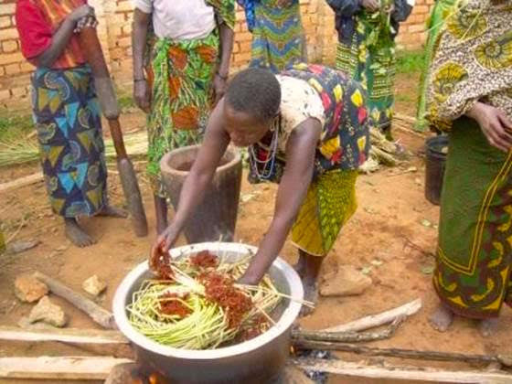 dyeing the grass