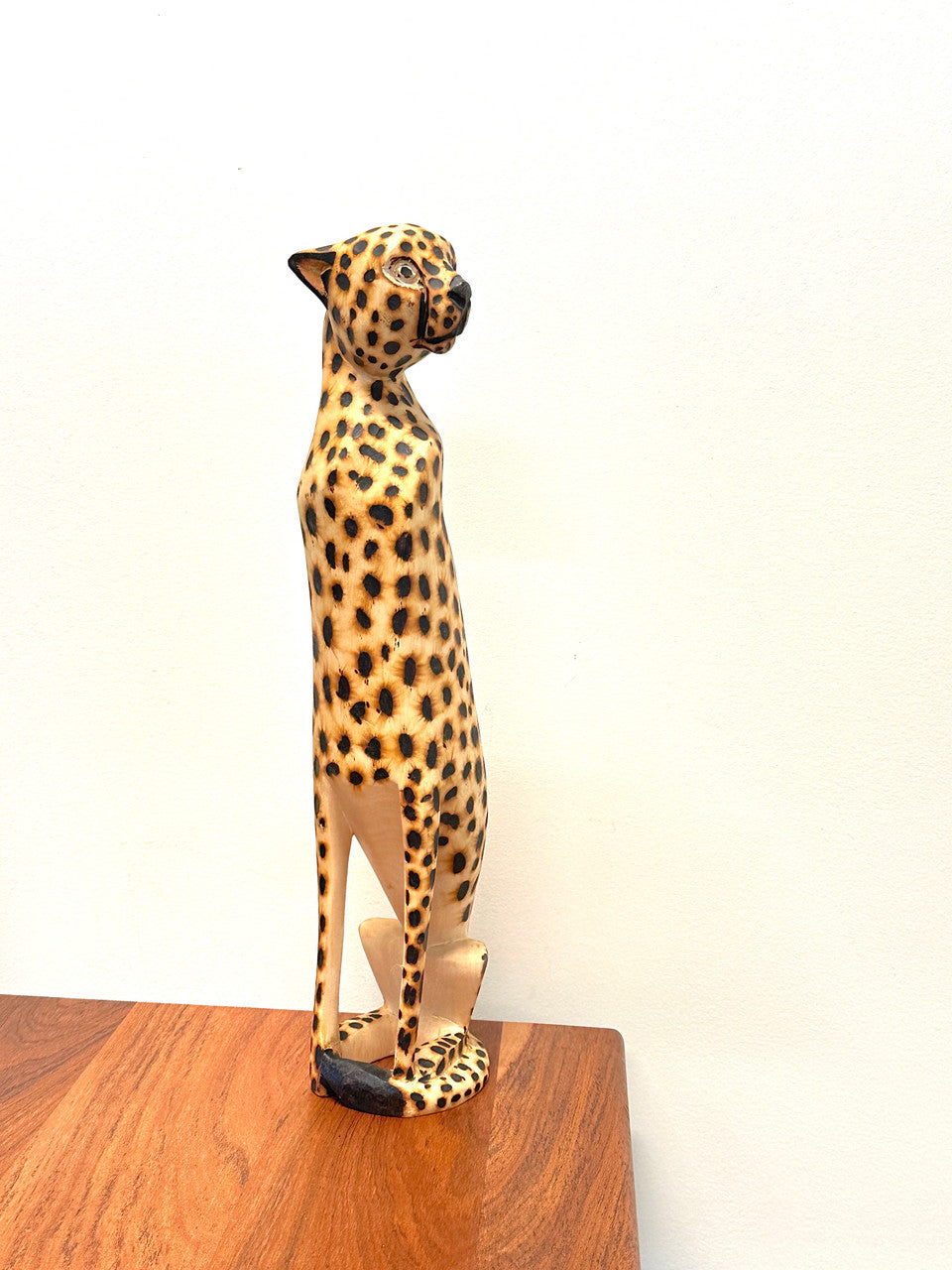 Cheetah Sitting
