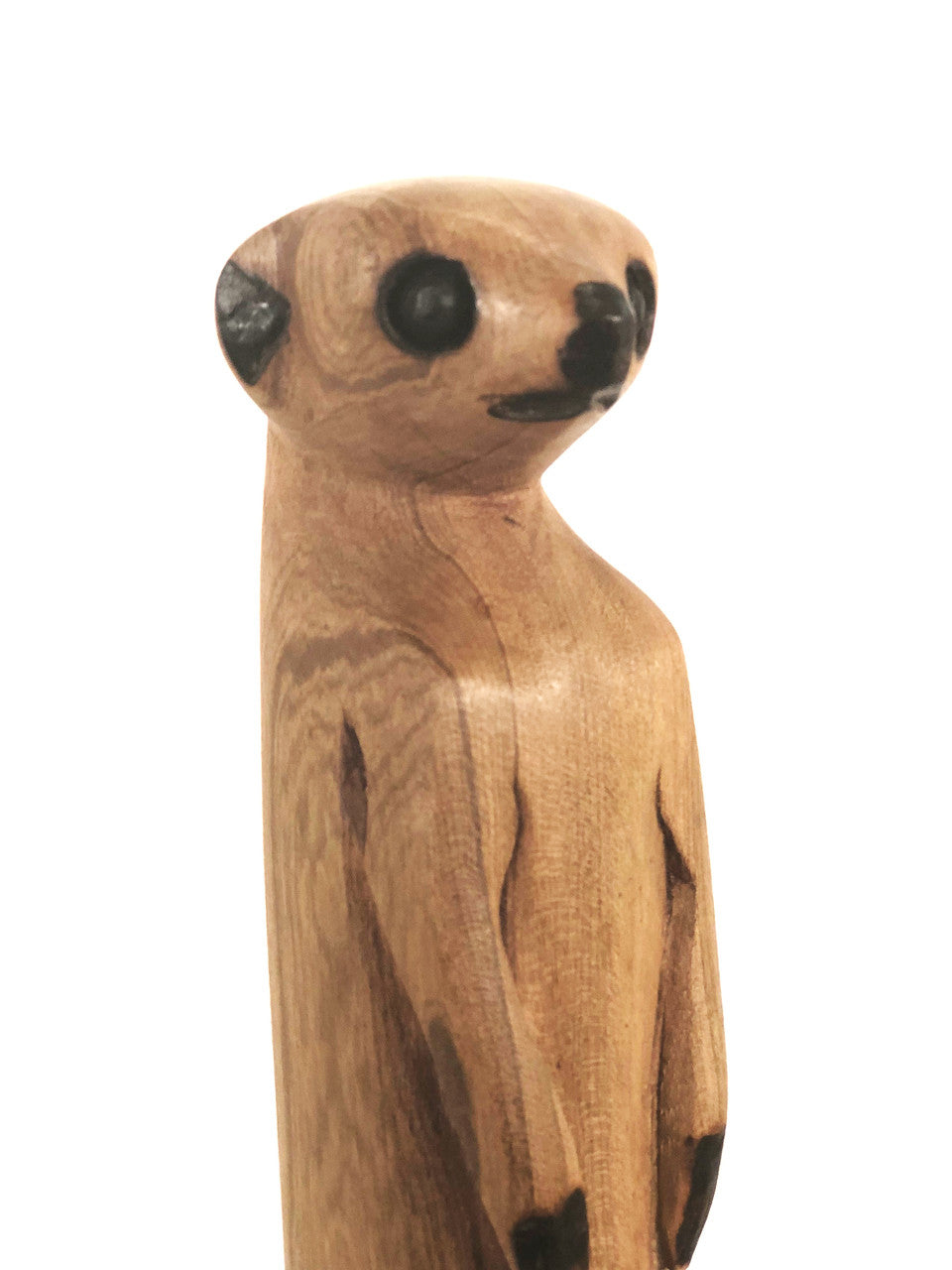 Meerkat Standing - Olivewood Close View