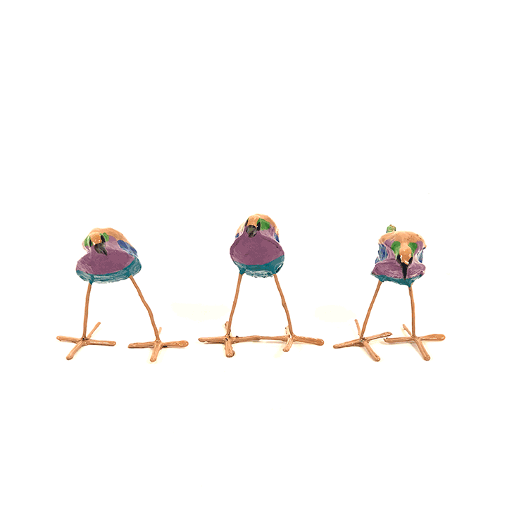 Seedpod Lilac Breasted Roller