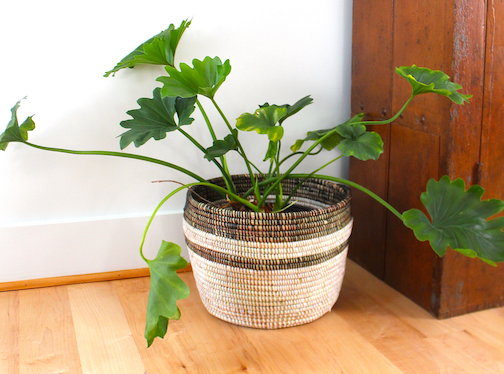 large basket planter black and white