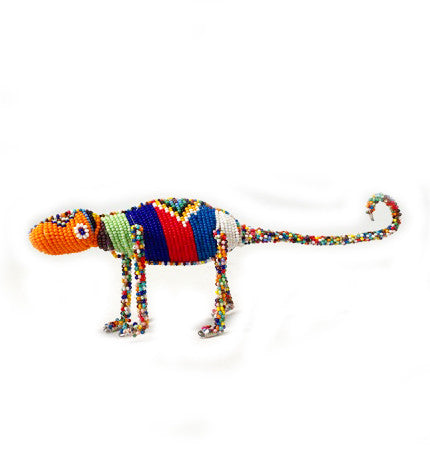 chameleon