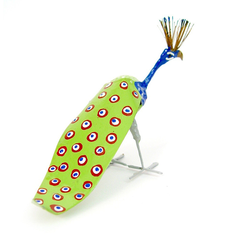 Seedpod Peacock view from the back
