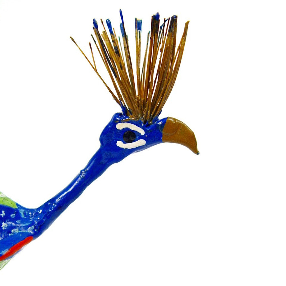 Seedpod Peacock head detail.