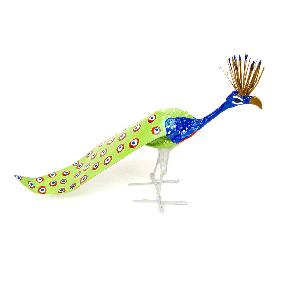 Seedpod Peacock