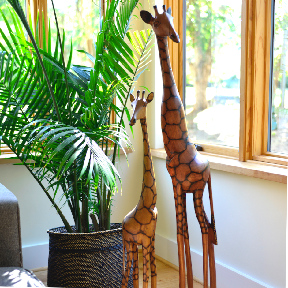 giraffes in a living room corner