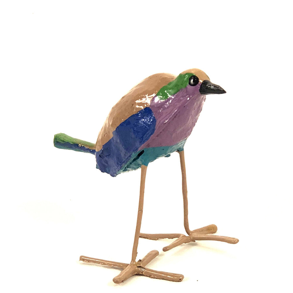 Seedpod Lilac Breasted Roller front view
