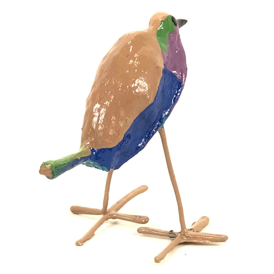 Seedpod Lilac Breasted Roller from the back