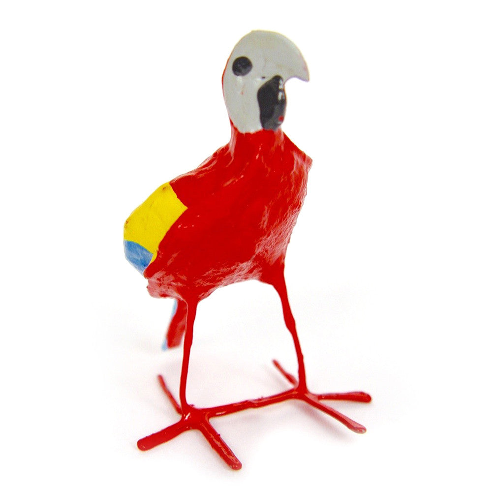 seed pod macaw front view