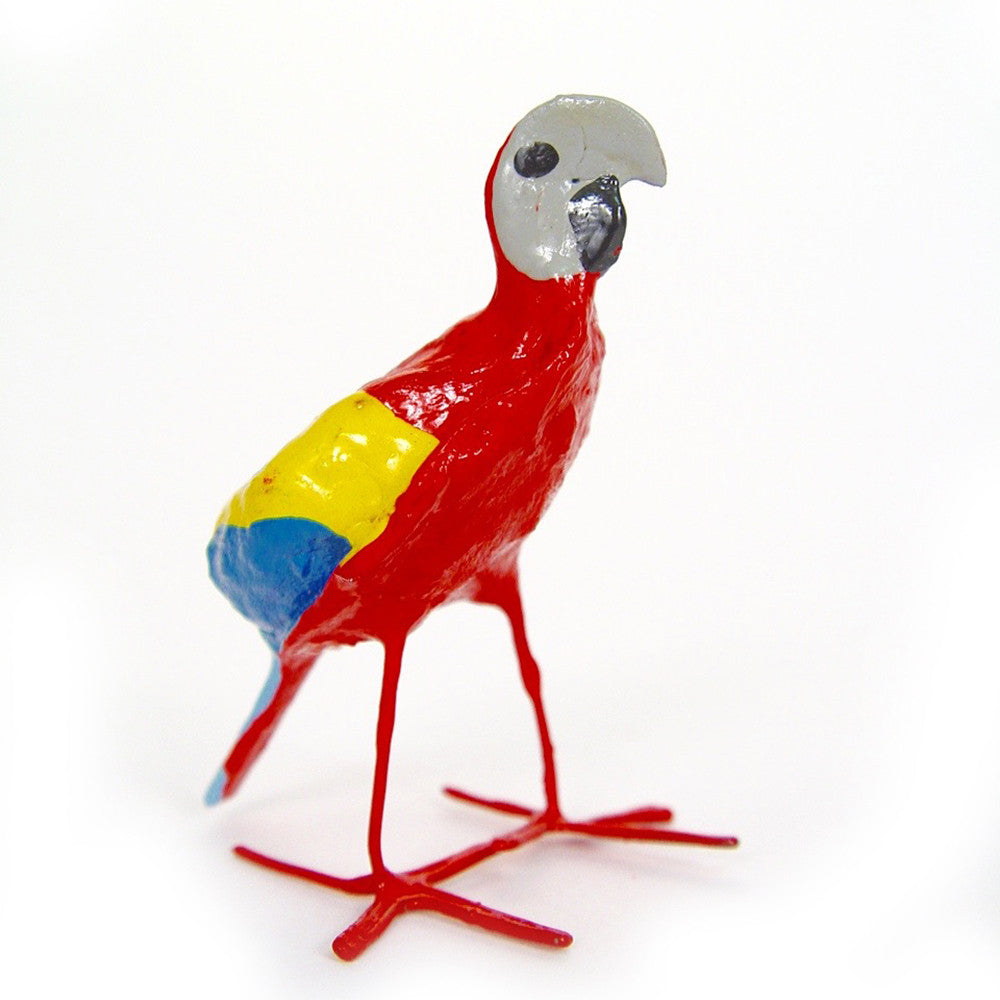 seed pod macaw side view