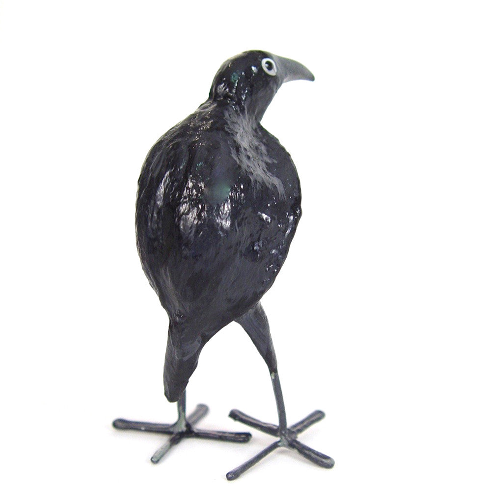Seedpod Raven from the back