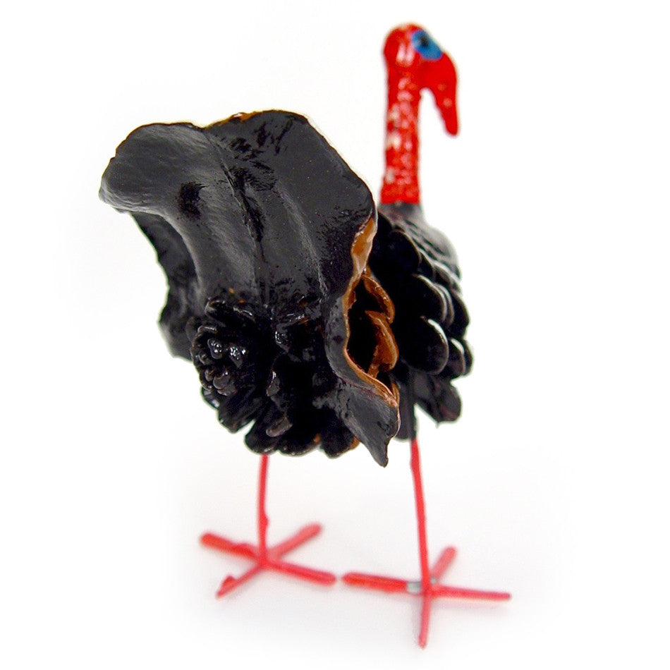 Seedpod Turkey from the back