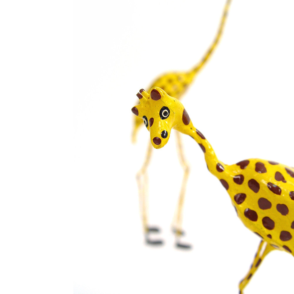 Seedpod Giraffe detail of the head