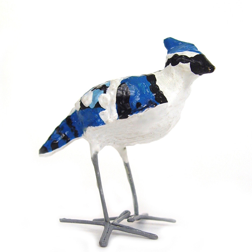 Seedpod Blue Jay front view