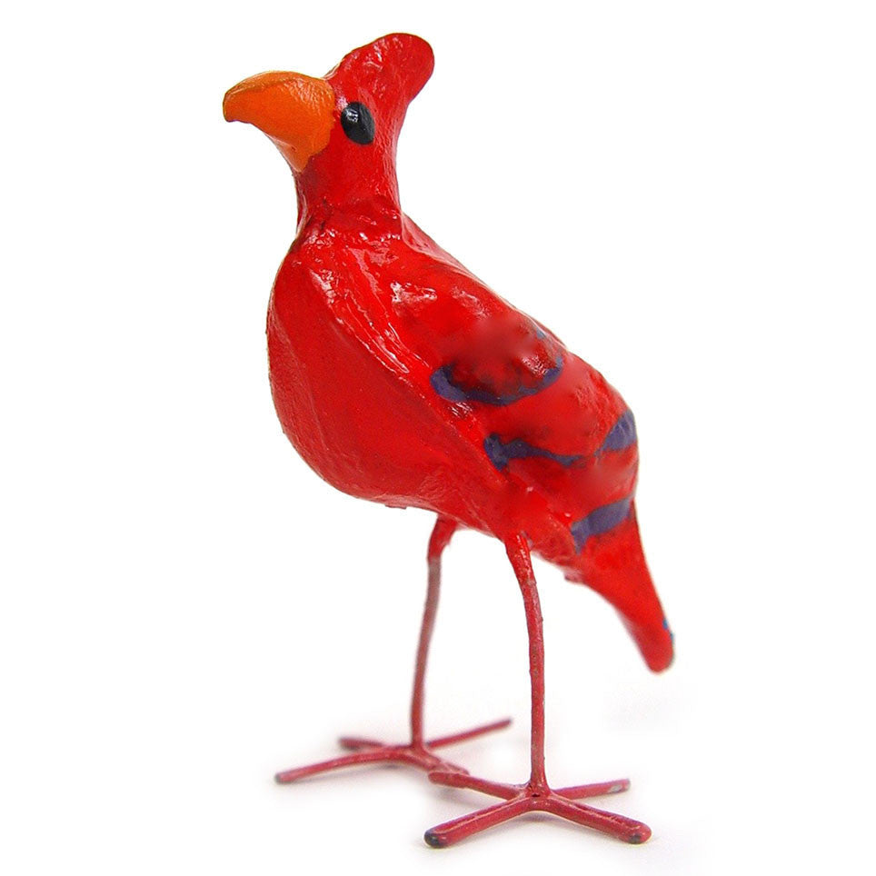 Seedpod red Cardinal 