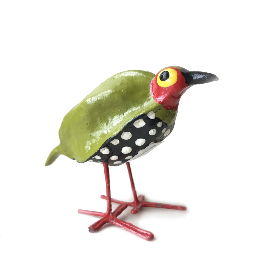 Seedpod Green-Backed Twinspot Finch