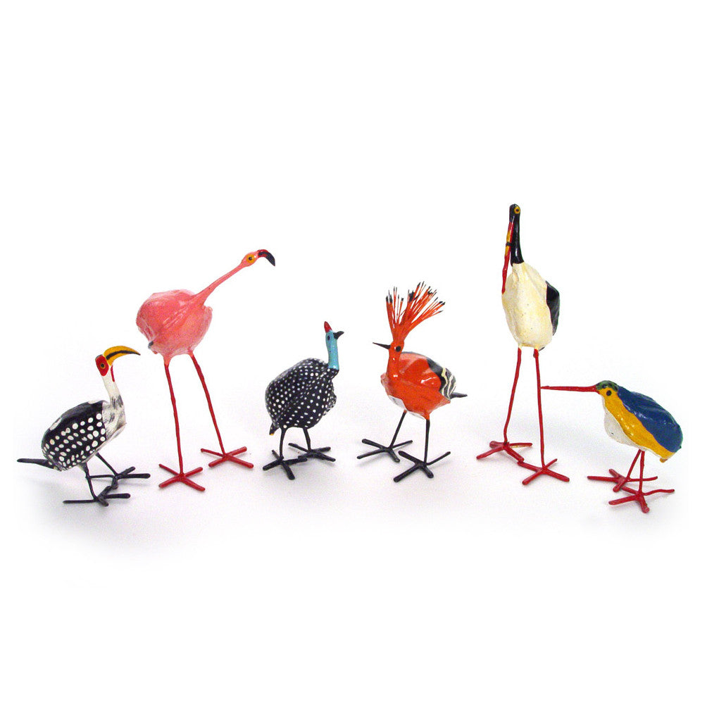 seed pod birds group