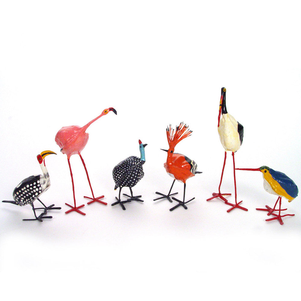 group of seedpod birds