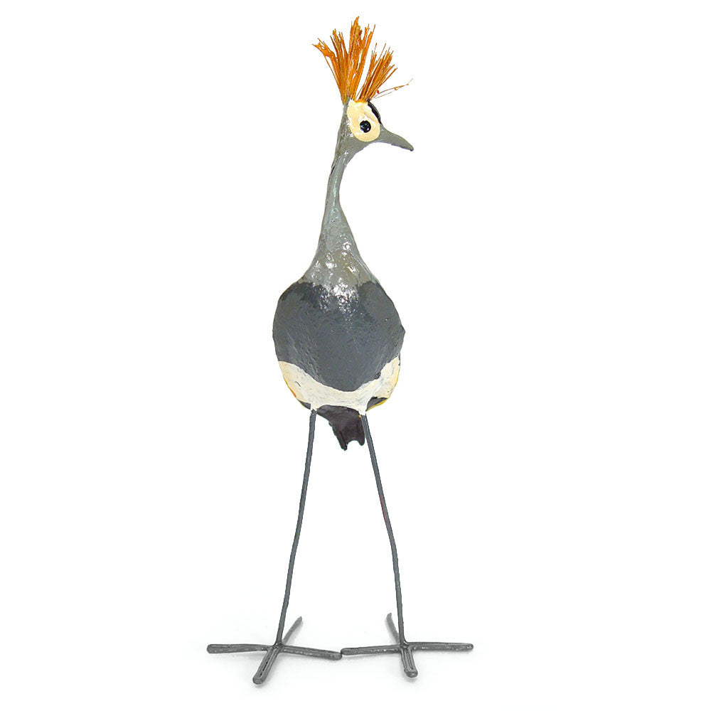 Seedpod Crowned Crane from the front