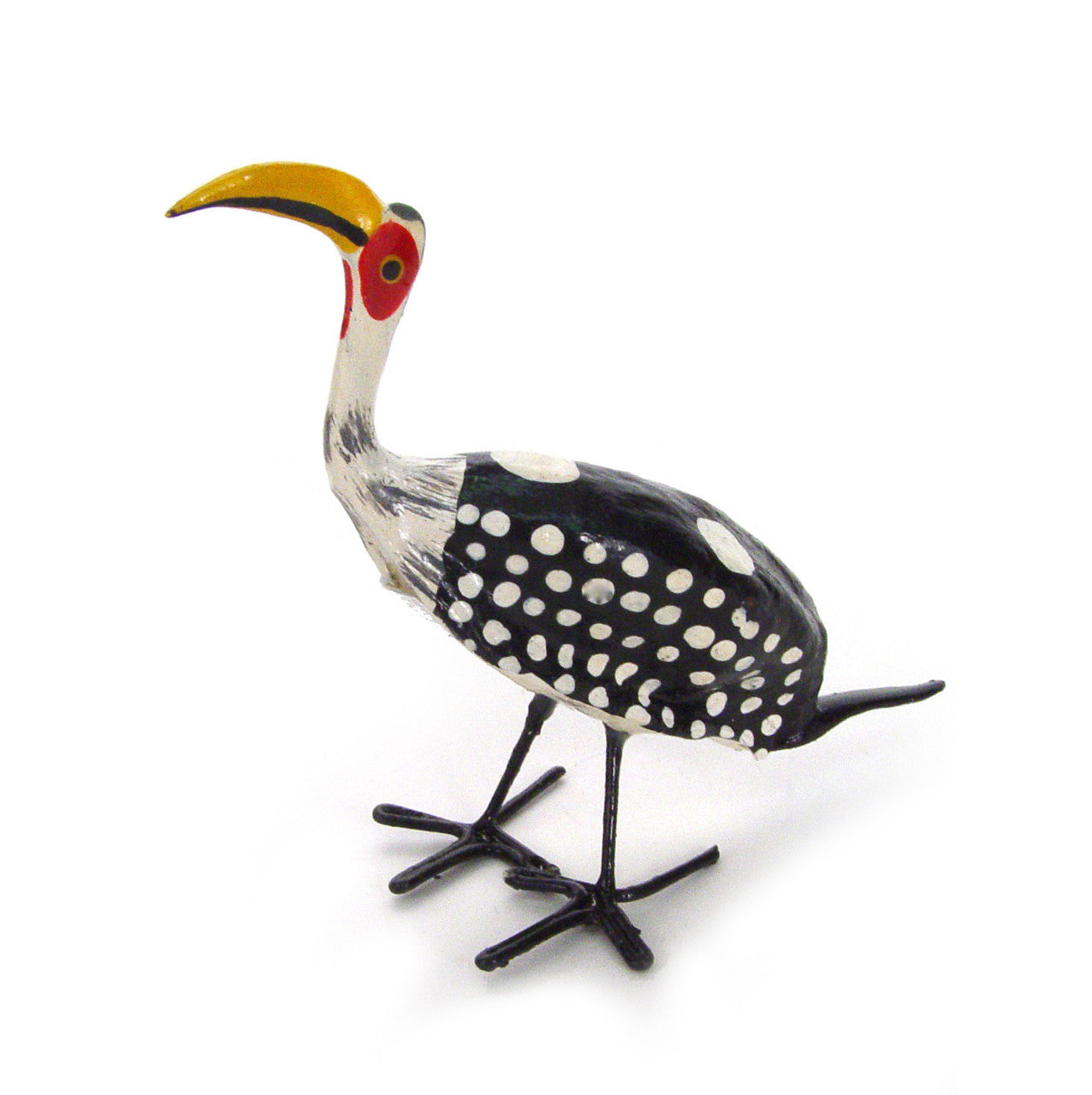 seedpod hornbill side view