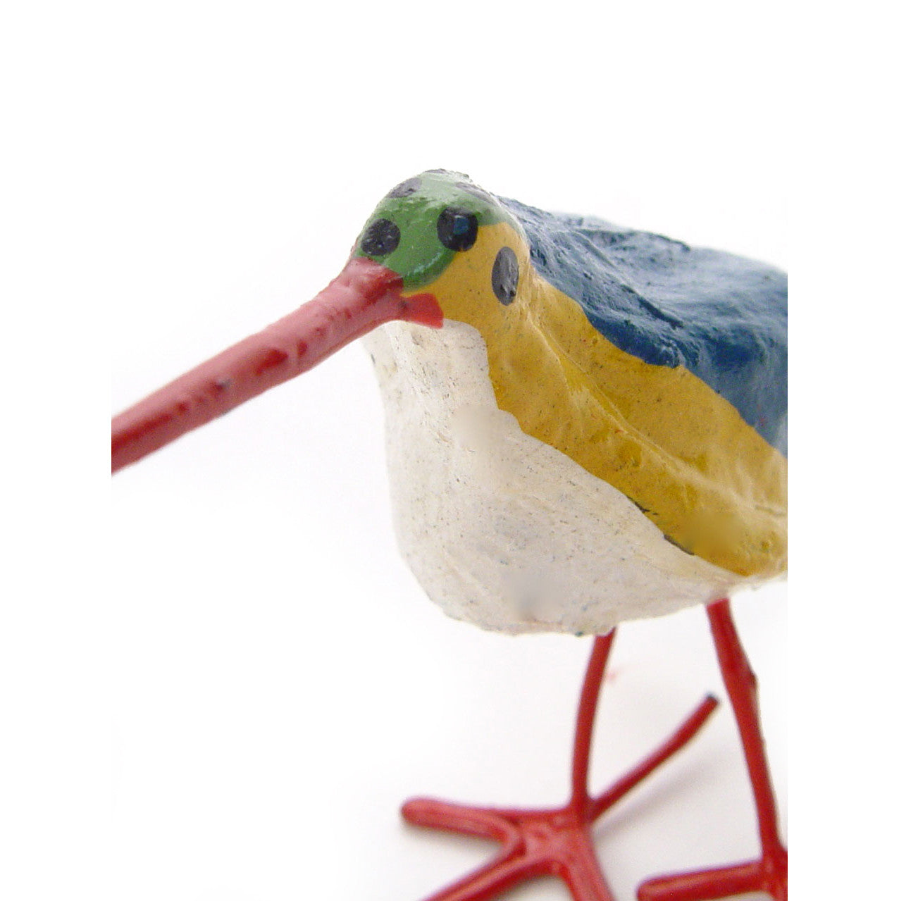 Seedpod Kingfisher detail close up